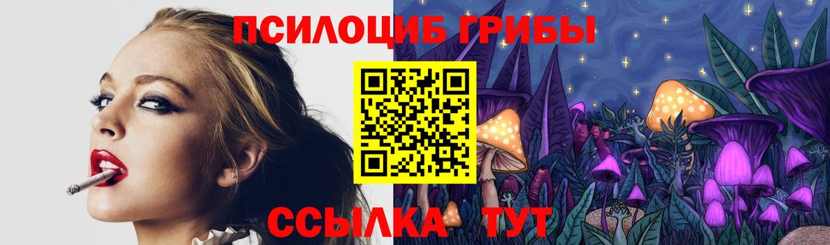 Псилоцибиновые грибы мухоморы Шатура